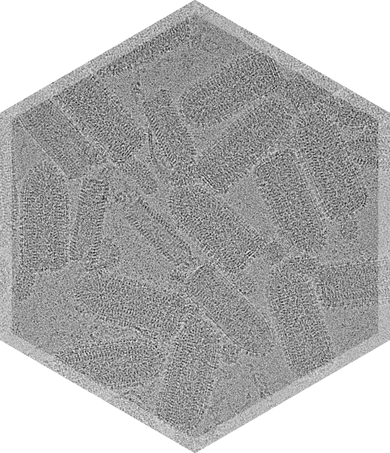 black & white microscopic image of cryo-tem image of VSV characterization services