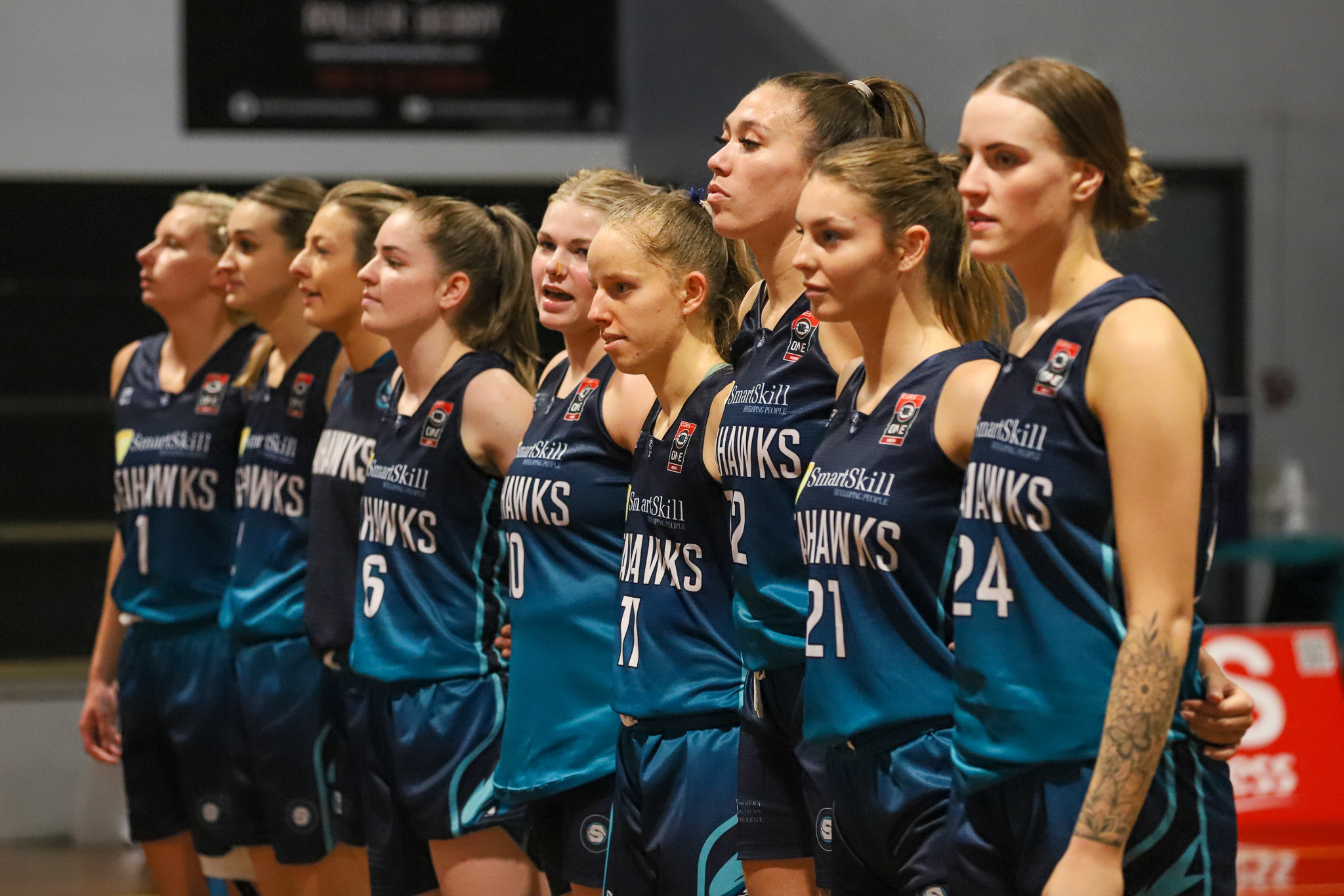 BQ partner with Sportradar for the 2024 NBL1 North Season