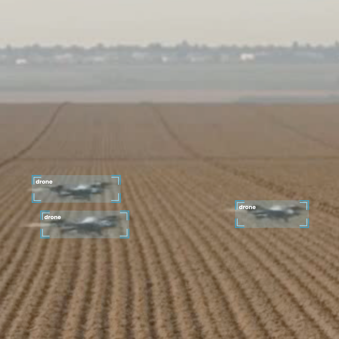 Three drones flying over a large farm field with neatly arranged crop rows.
