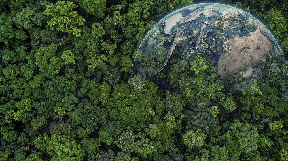 ALEC Sustainability Report 2022