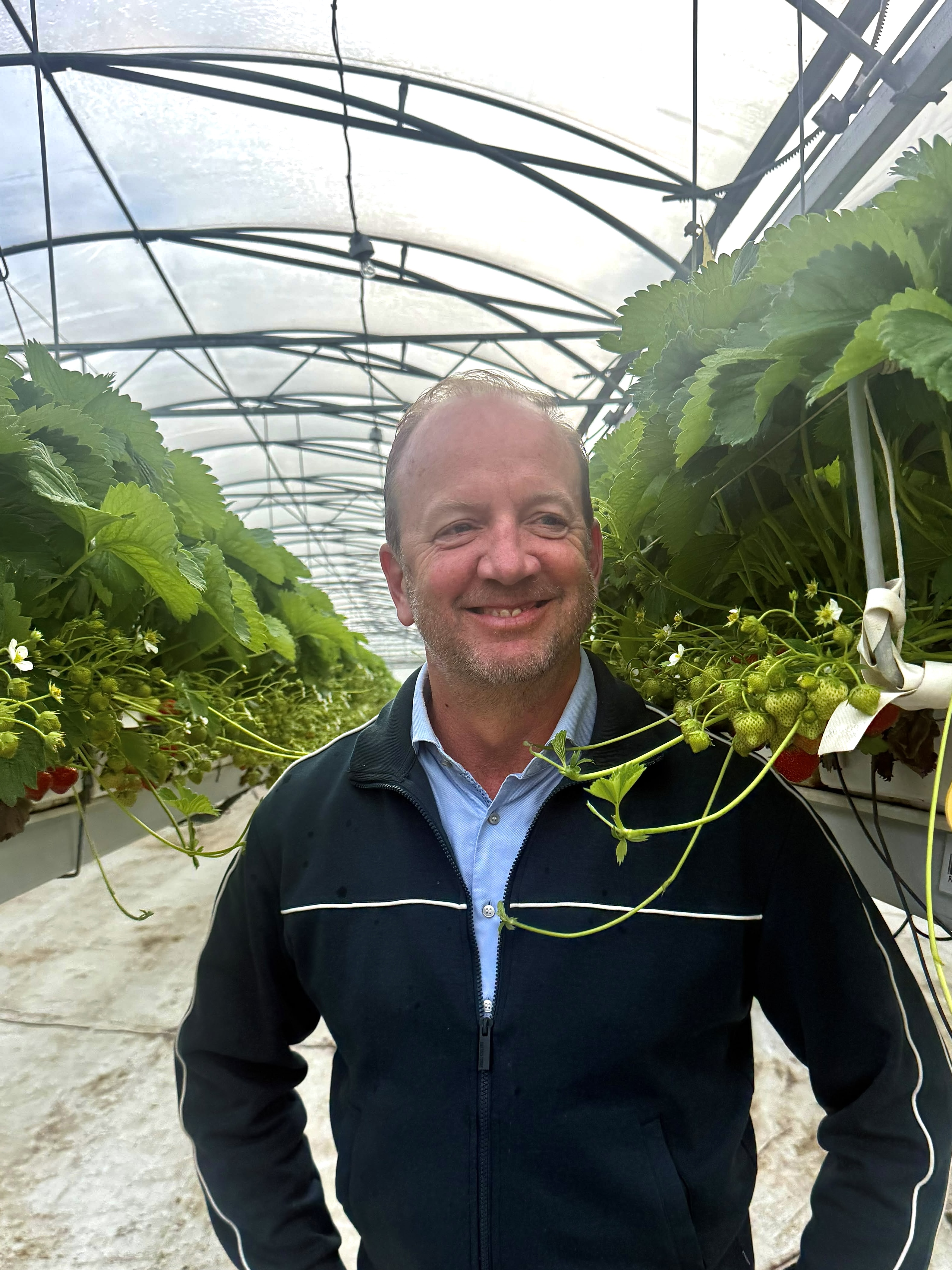 Hurks Feeding and irrigation strategy