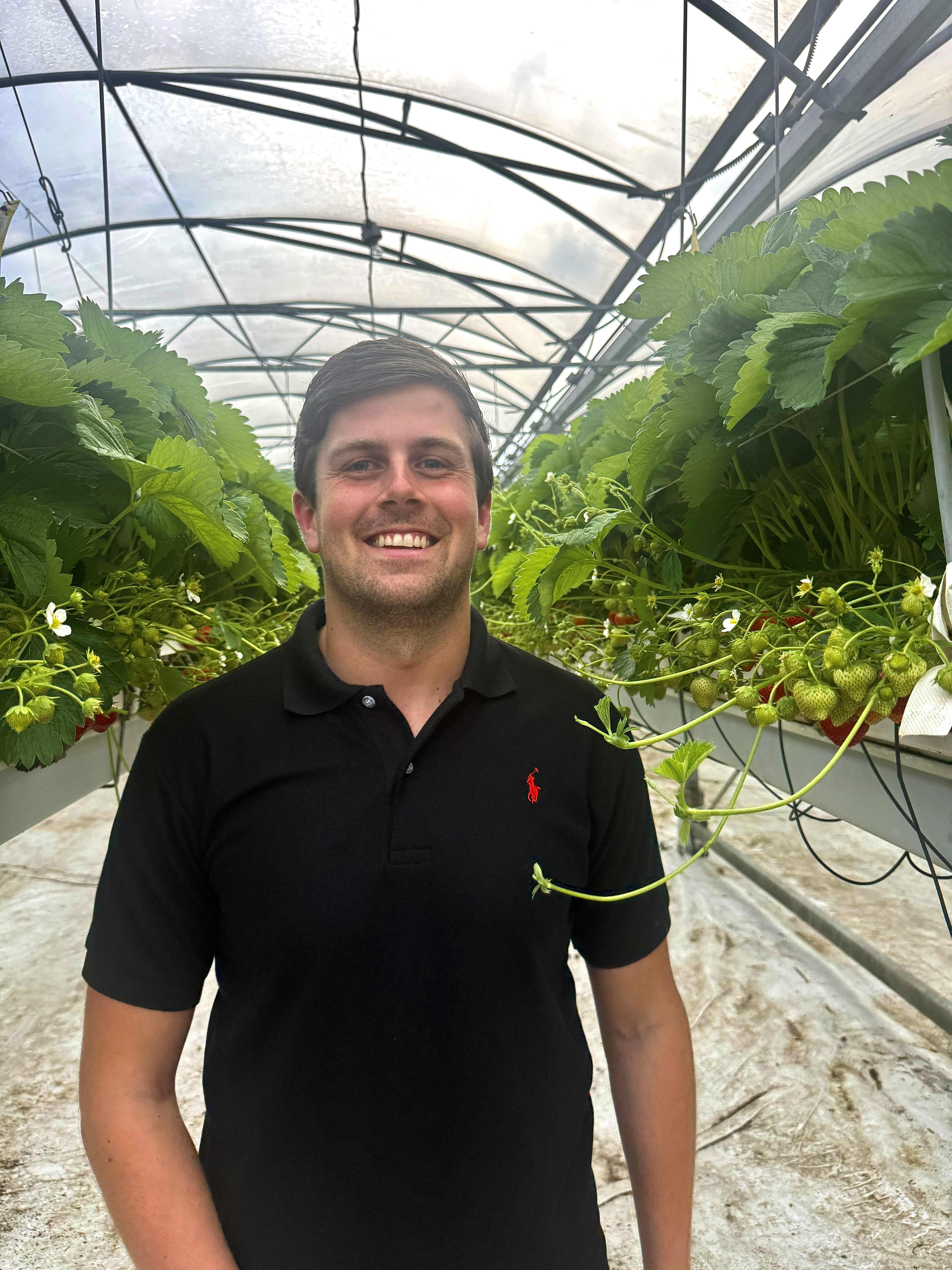 Hurks Crop management