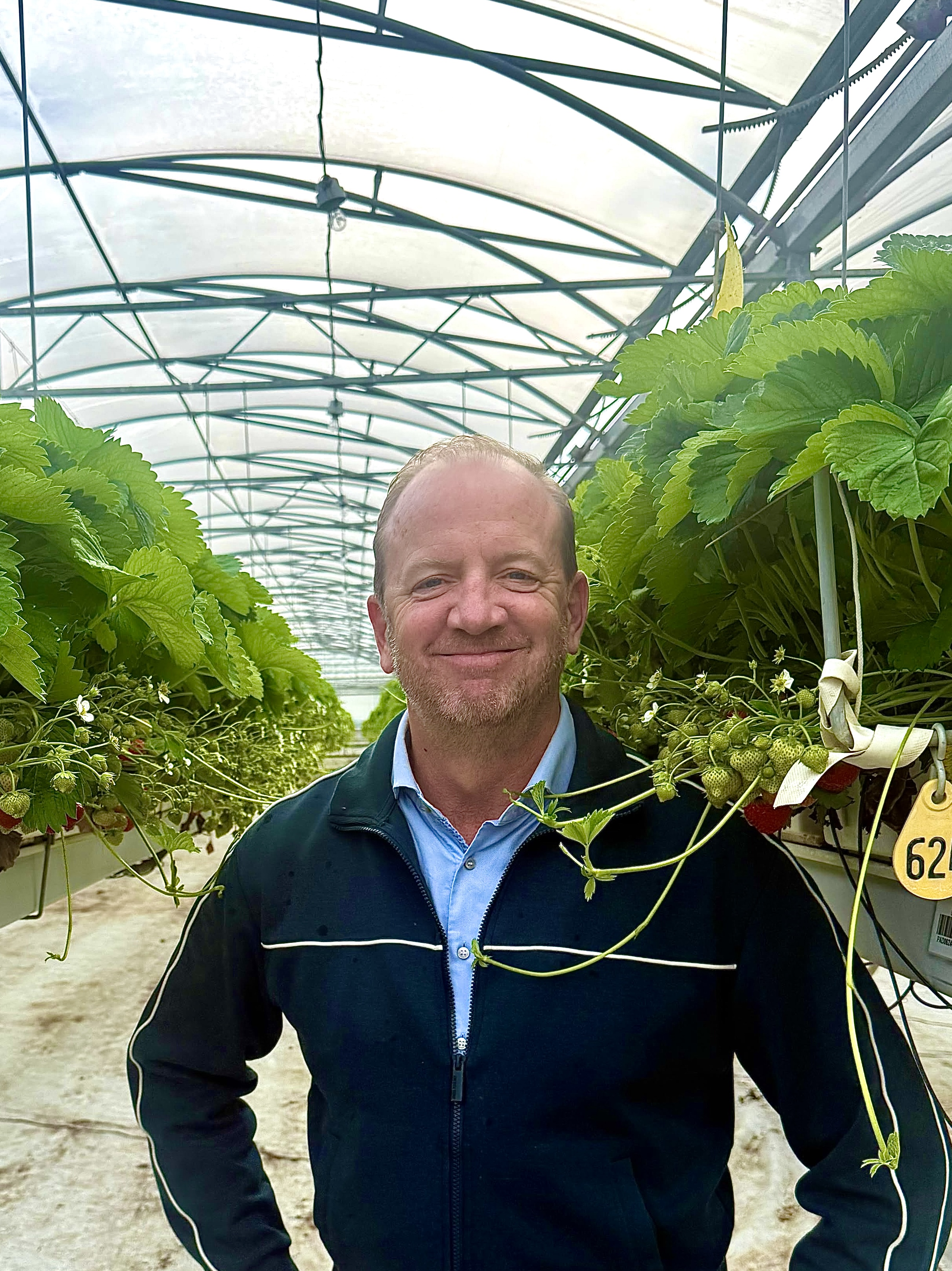 Hurks Feeding and irrigation strategy