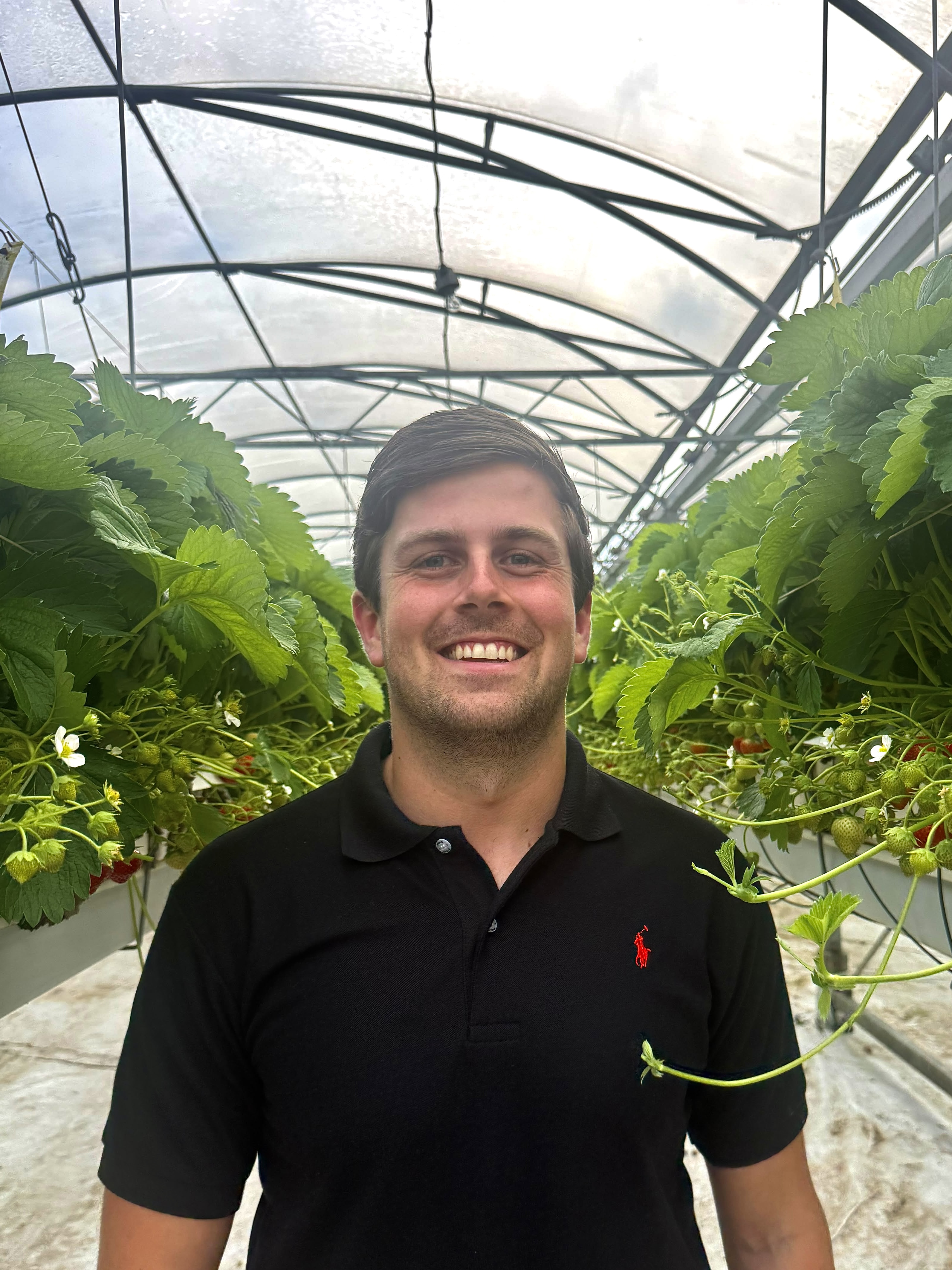 Hurks Crop management