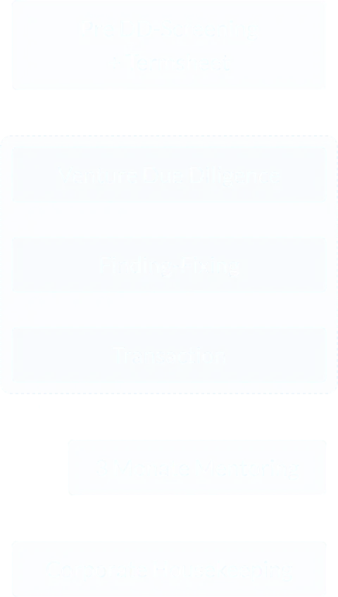 Flowchart showing stages of venture capital process: Pre DD-Screening + Termsheet, Venture Due Diligence, Finding-Fixing, Transaction, 6 Monate Mentoring, and Corporate Housekeeping.