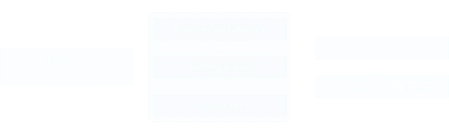 Flowchart showing venture capital process with steps: Pre DD-Screening + Termsheet, Venture Due Diligence, Finding-Fixing, Transaction, then branching to 6 Monate Mentoring and Corporate Housekeeping.