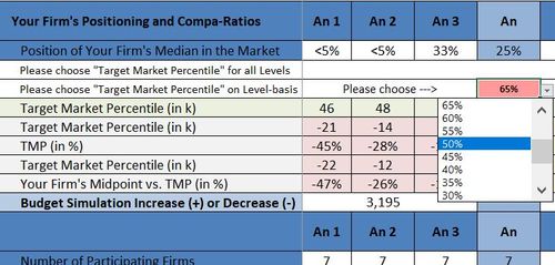 budget simulation screenshot