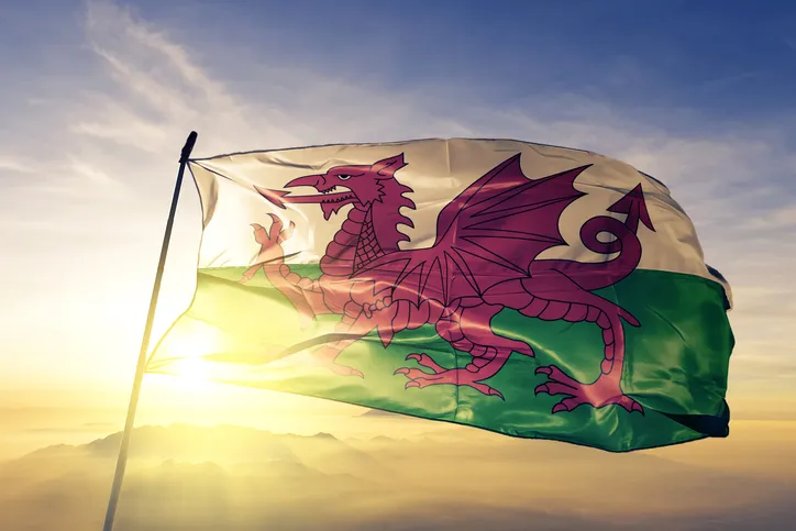 IT Recruitment Agency Wales