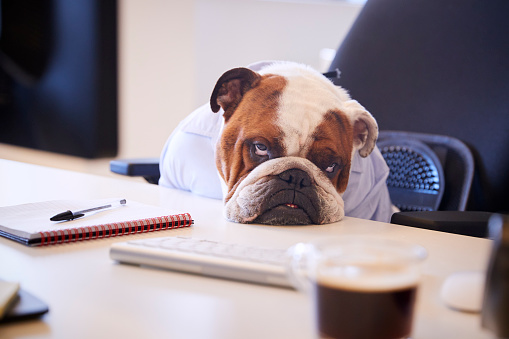 Coburg Banks - Multi-Sector Recruitment Agency