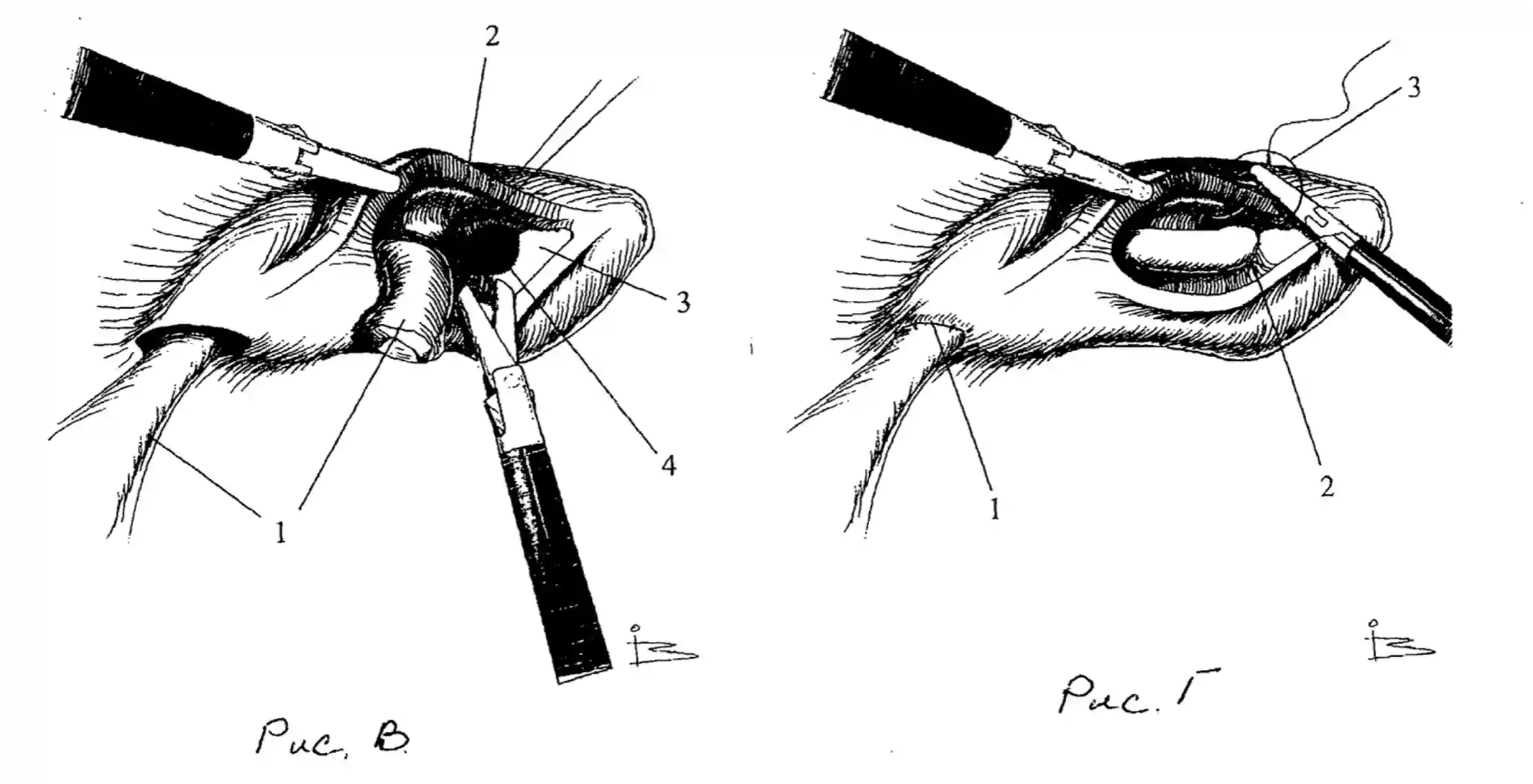 Ilya Bondar, POS, app, app, mobile, foodtech, design design, product design, UX, UI