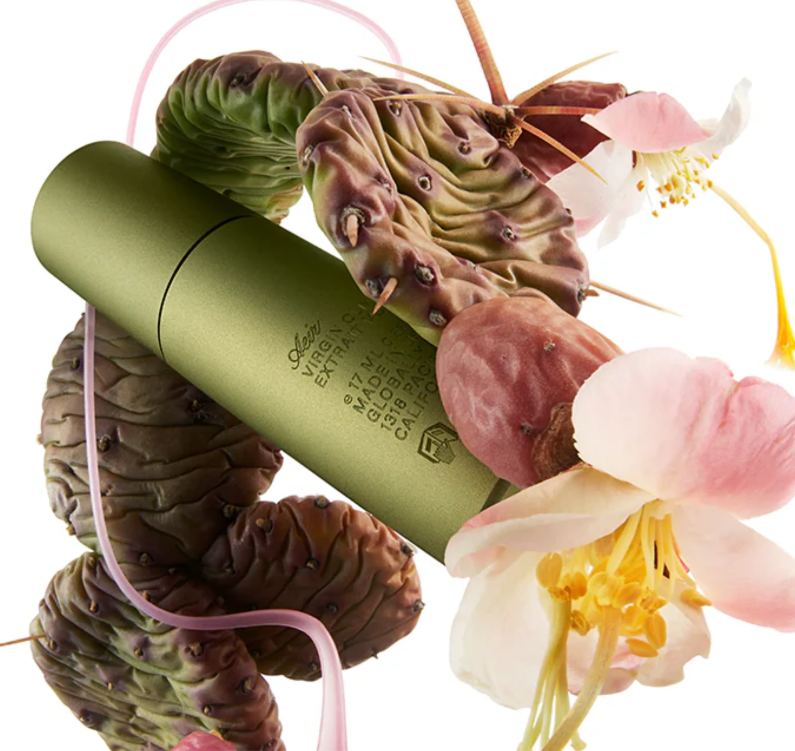 Luxury experimental fragrance brand