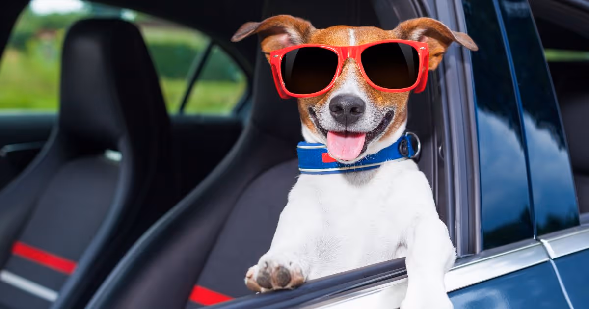 Memorial Day Weekend Safety: Preventing Car Accidents on the Road