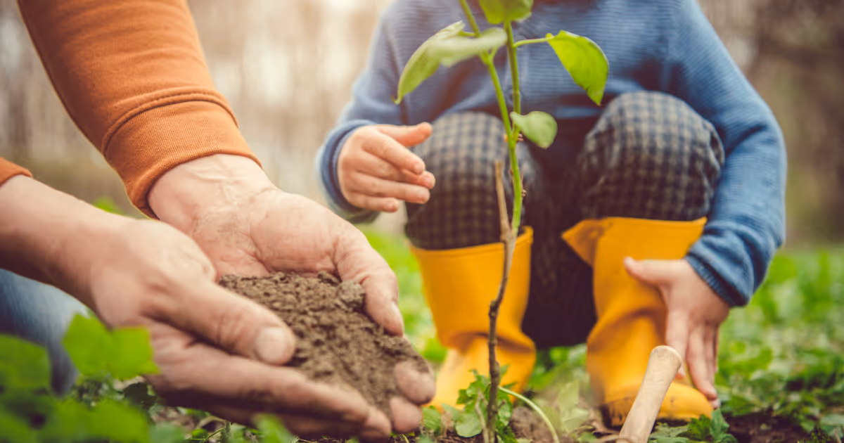 Planting the Seeds of Safety: Arbor Day Awareness and Personal Injury Prevention