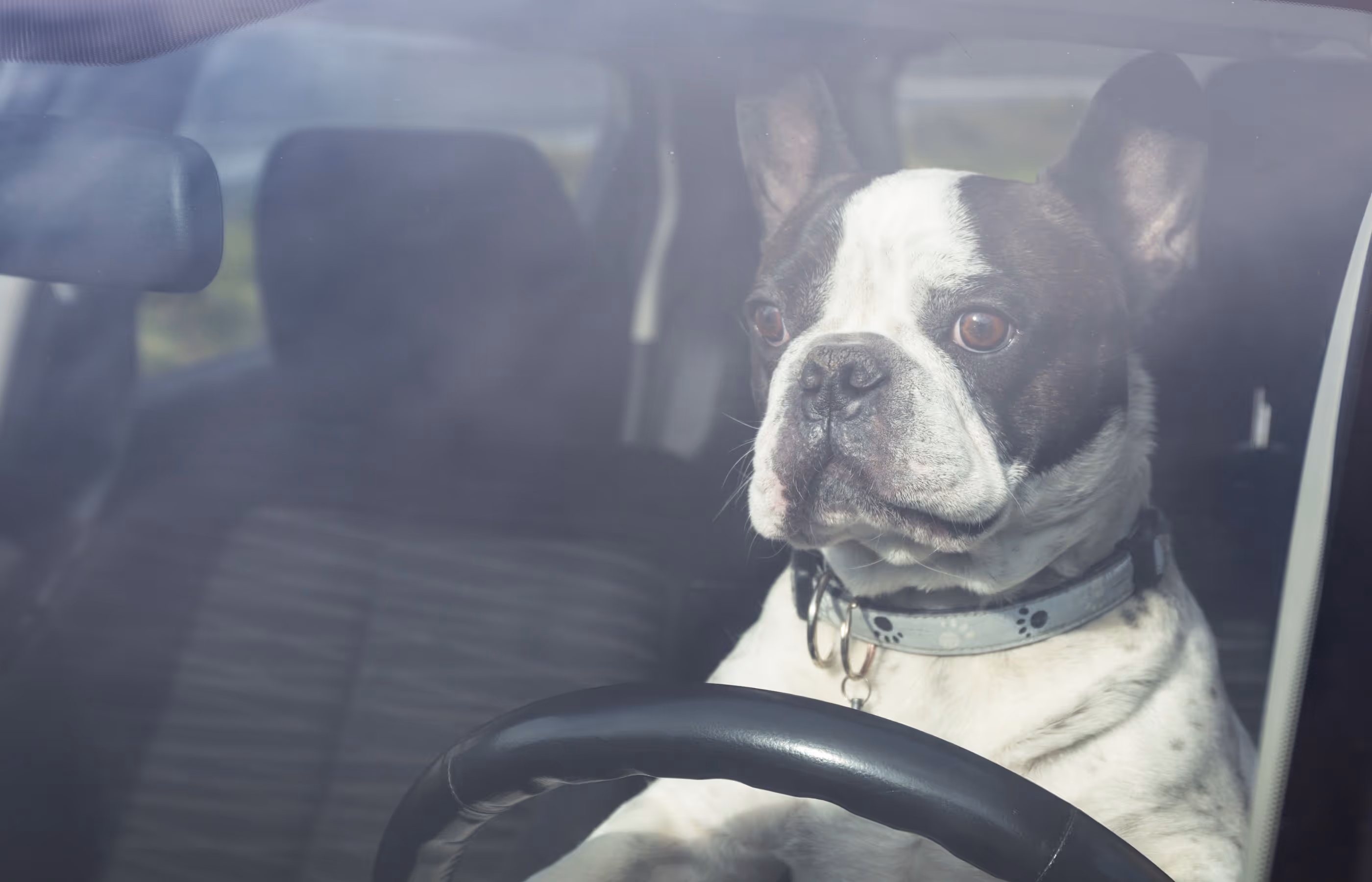 Summer Travel Safety: Avoiding Car Accidents on Michigan Roads