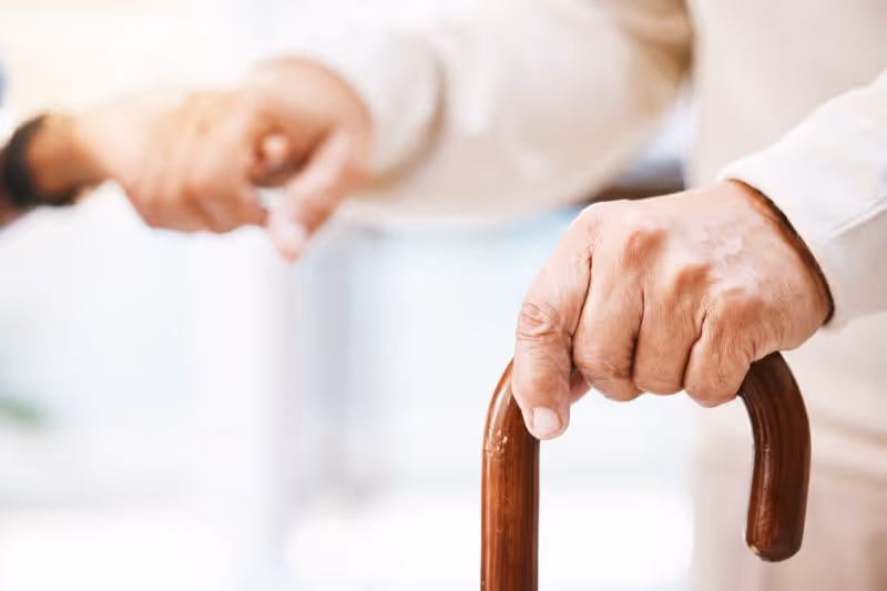 Protecting the Elderly from Winter Hazards in Monroe, Michigan