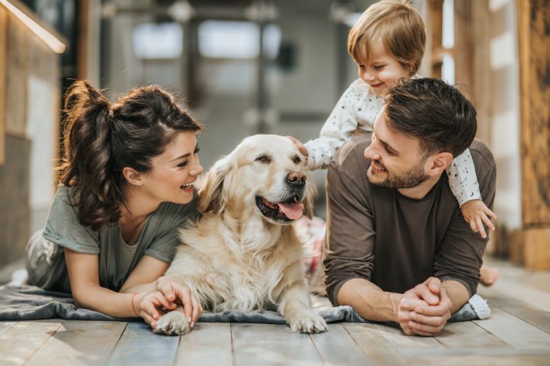 Legal Aspects of Dog Bites: Understanding Owner Liability