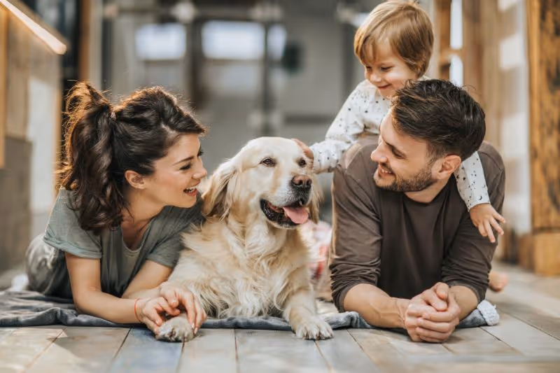 Legal Aspects of Dog Bites: Understanding Owner Liability