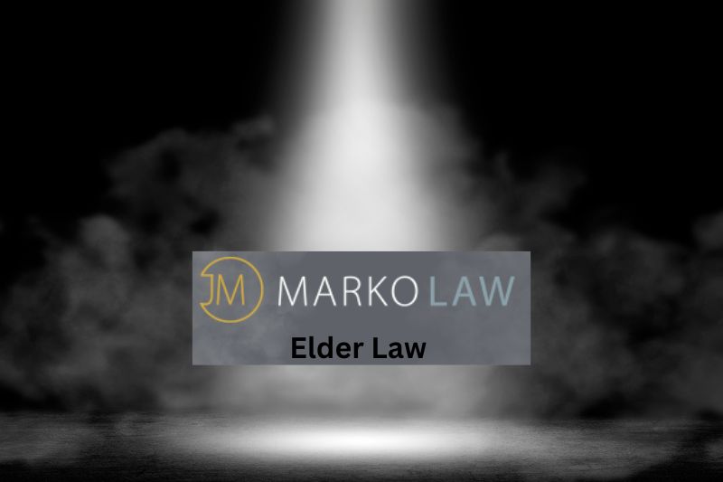 Spotlight on Elder Law: Safeguarding Against Nursing Home Abuse in Michigan