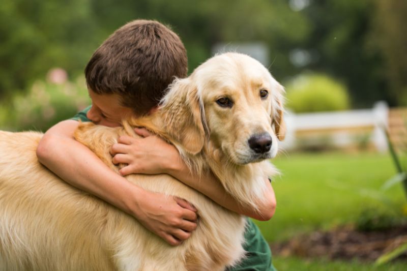 Dog Bite Injuries in Michigan: Holding Owners Accountable for Negligence