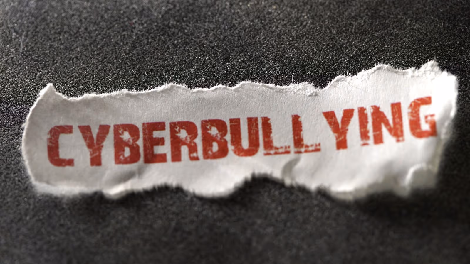 Sexual Harassment in Online Spaces and Cyberbullying