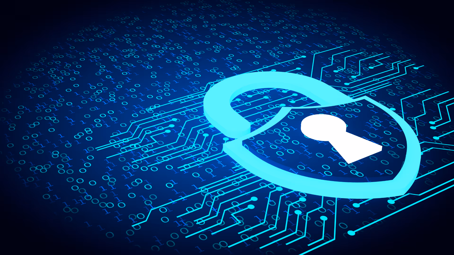 The U of M Data Breach & You: What Students Can Do Right Now