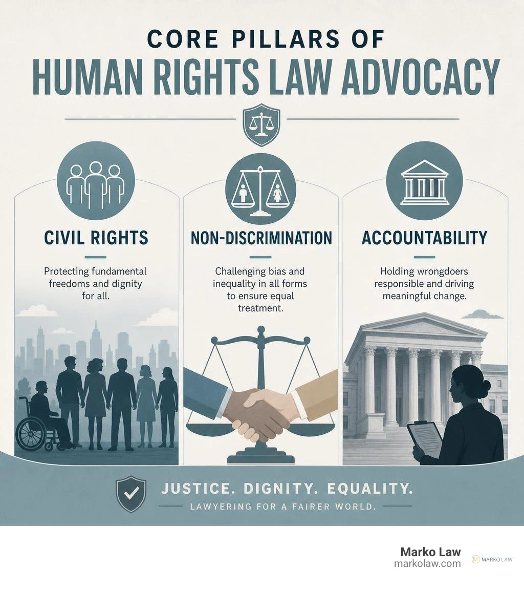 Core pillars of human rights law advocacy including civil rights, discrimination, and accountability infographic infographic