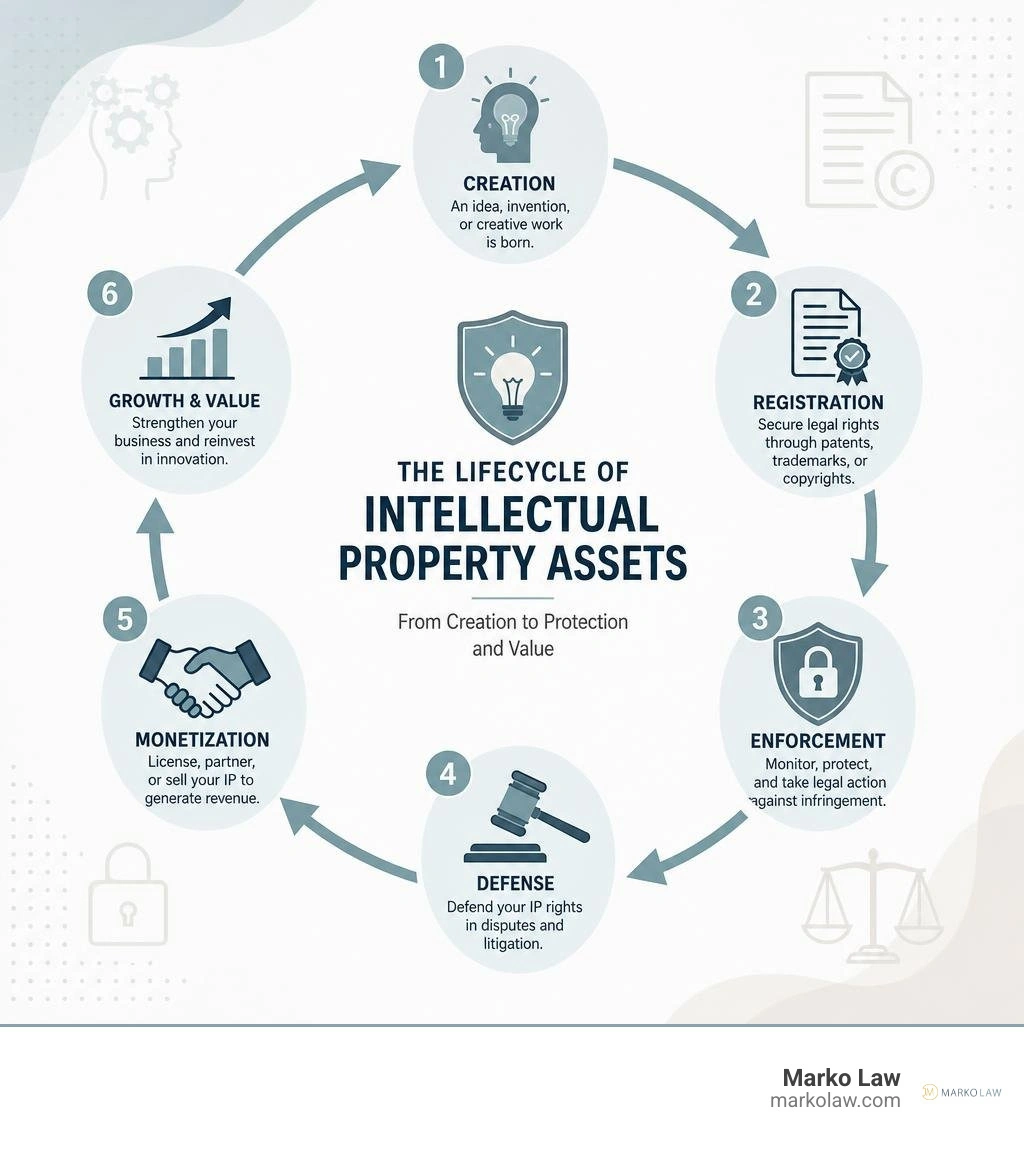 Lifecycle of intellectual property assets from creation to registration, enforcement, and monetization infographic