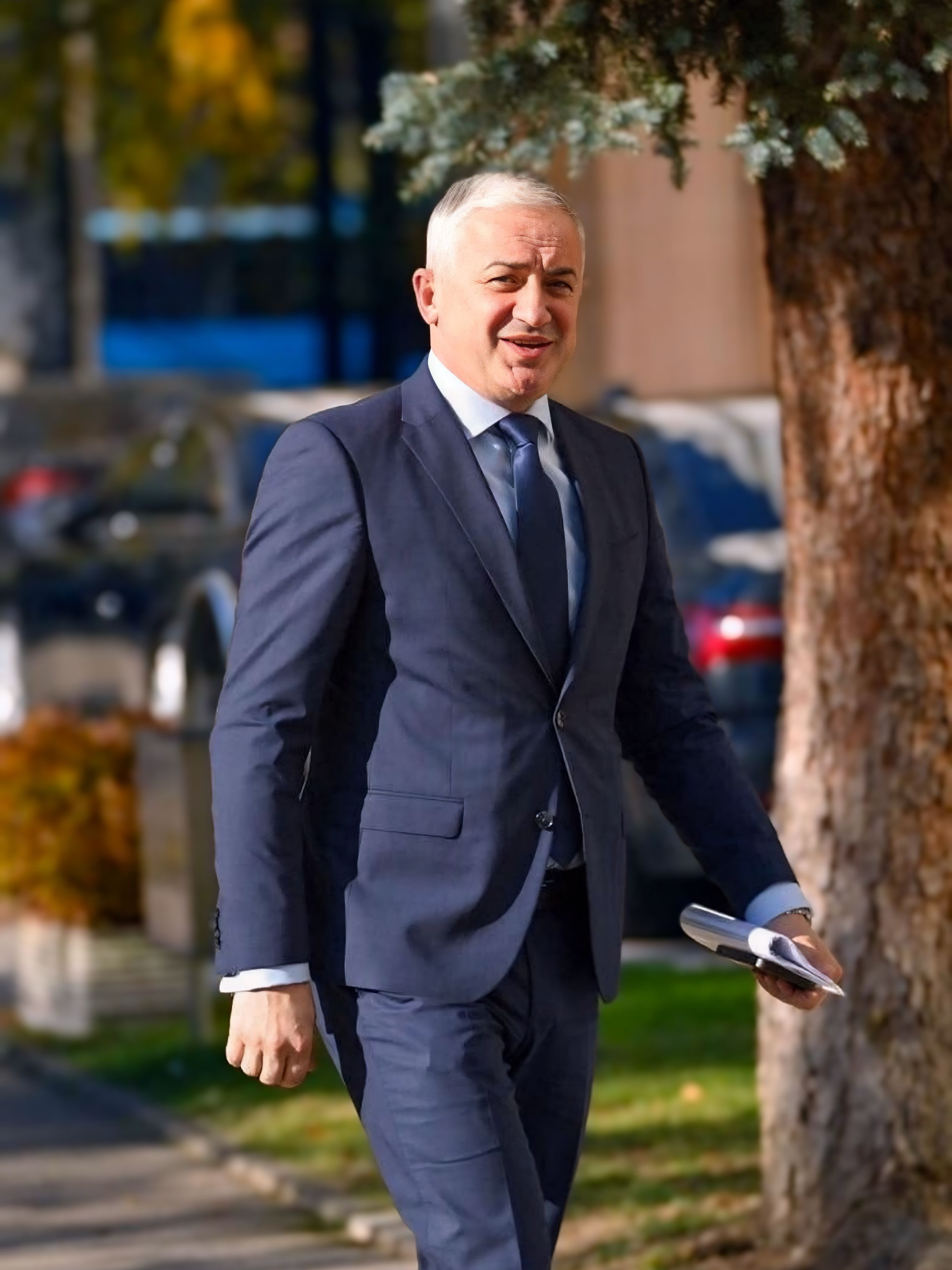 Бранислав Бореновић