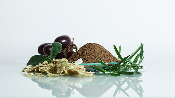 Phytogene Lösung für mehr Energieeffizienz bei Stress von Dr. Eckel