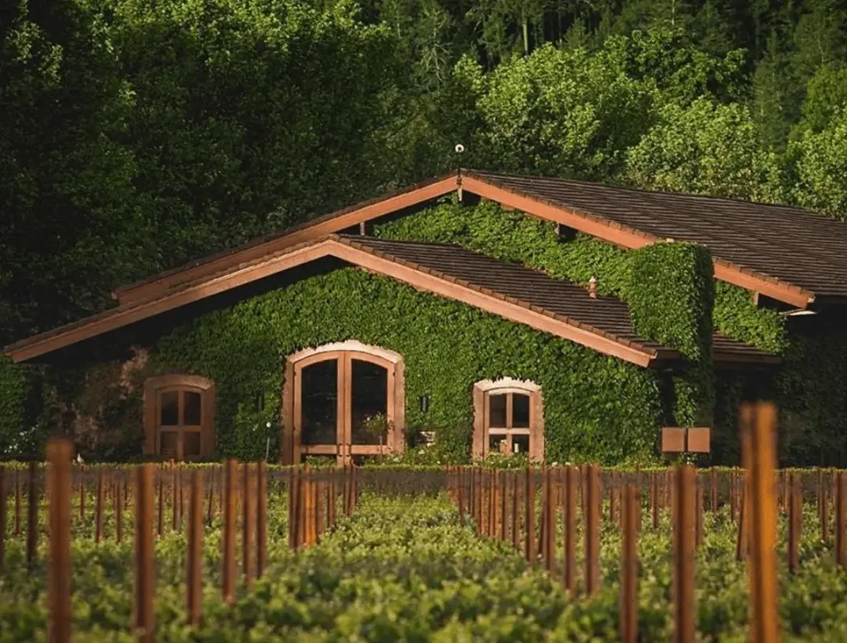 pestoni family vineyard