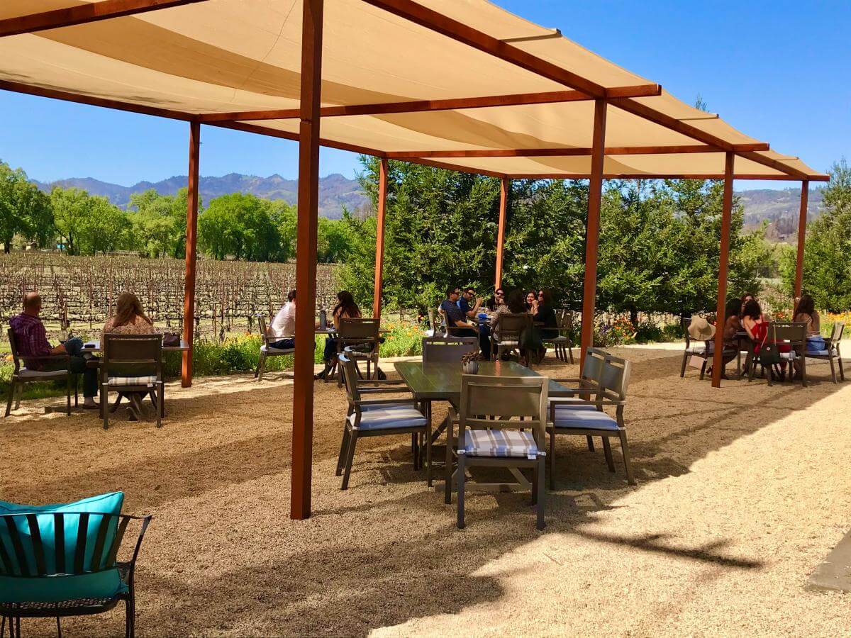 chappellet vineyards