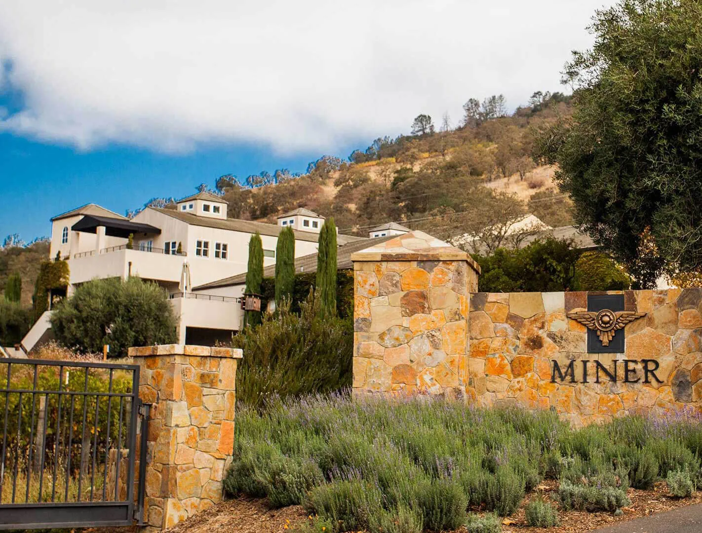 miner family vineyard