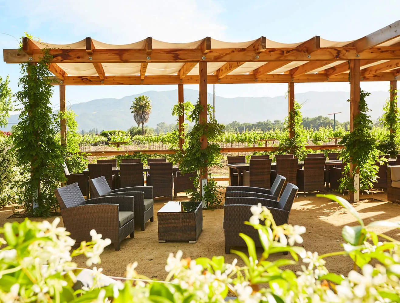 honing vineyard and winery