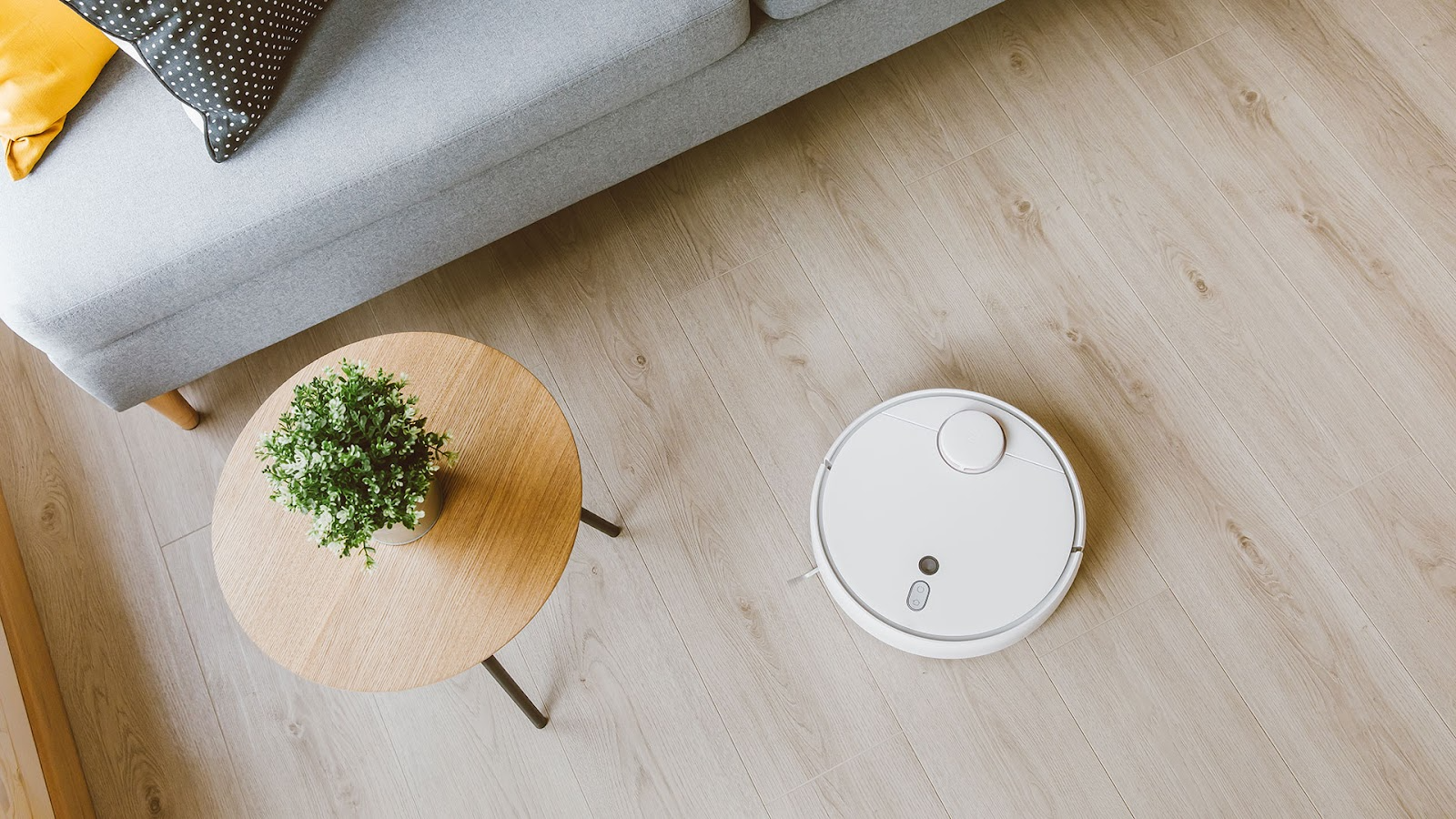 Overhead shot of a lounge room with light timber floors, a grey couch, round timber table with a plant, and a roomba vacuum.