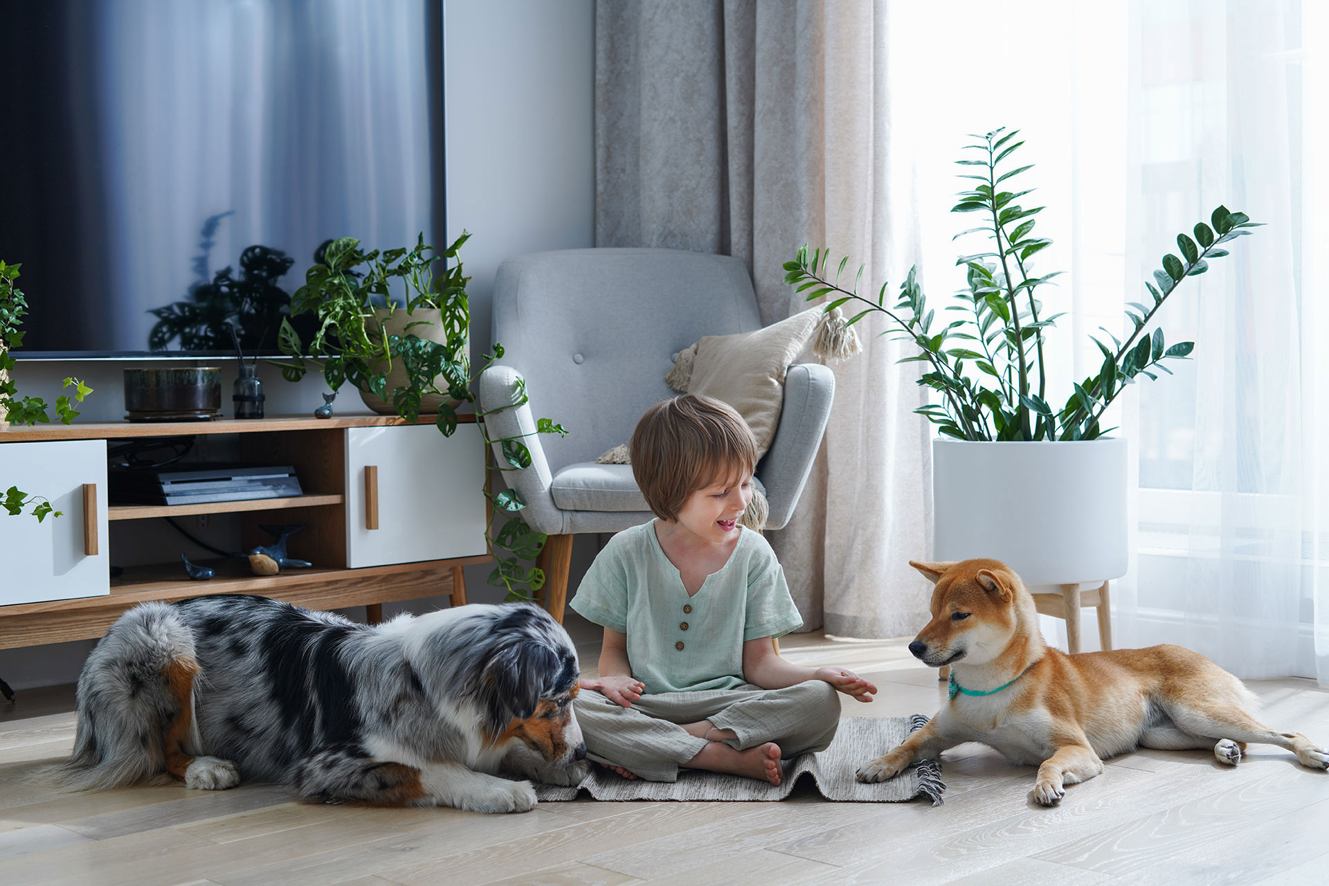 Child playing with two dogs in a cozy living room featuring durable, pet-friendly hybrid flooring.