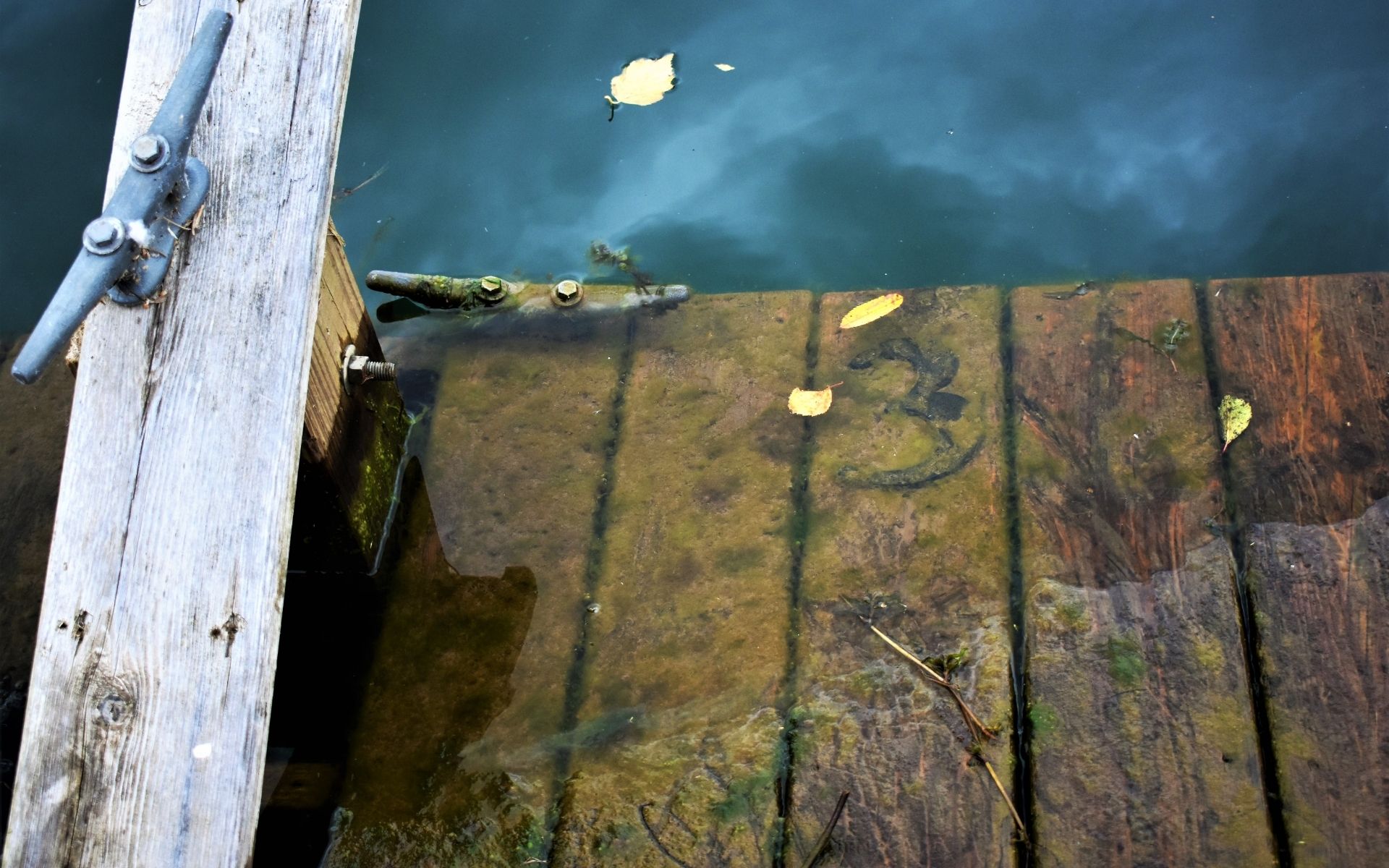 decaying wood dock