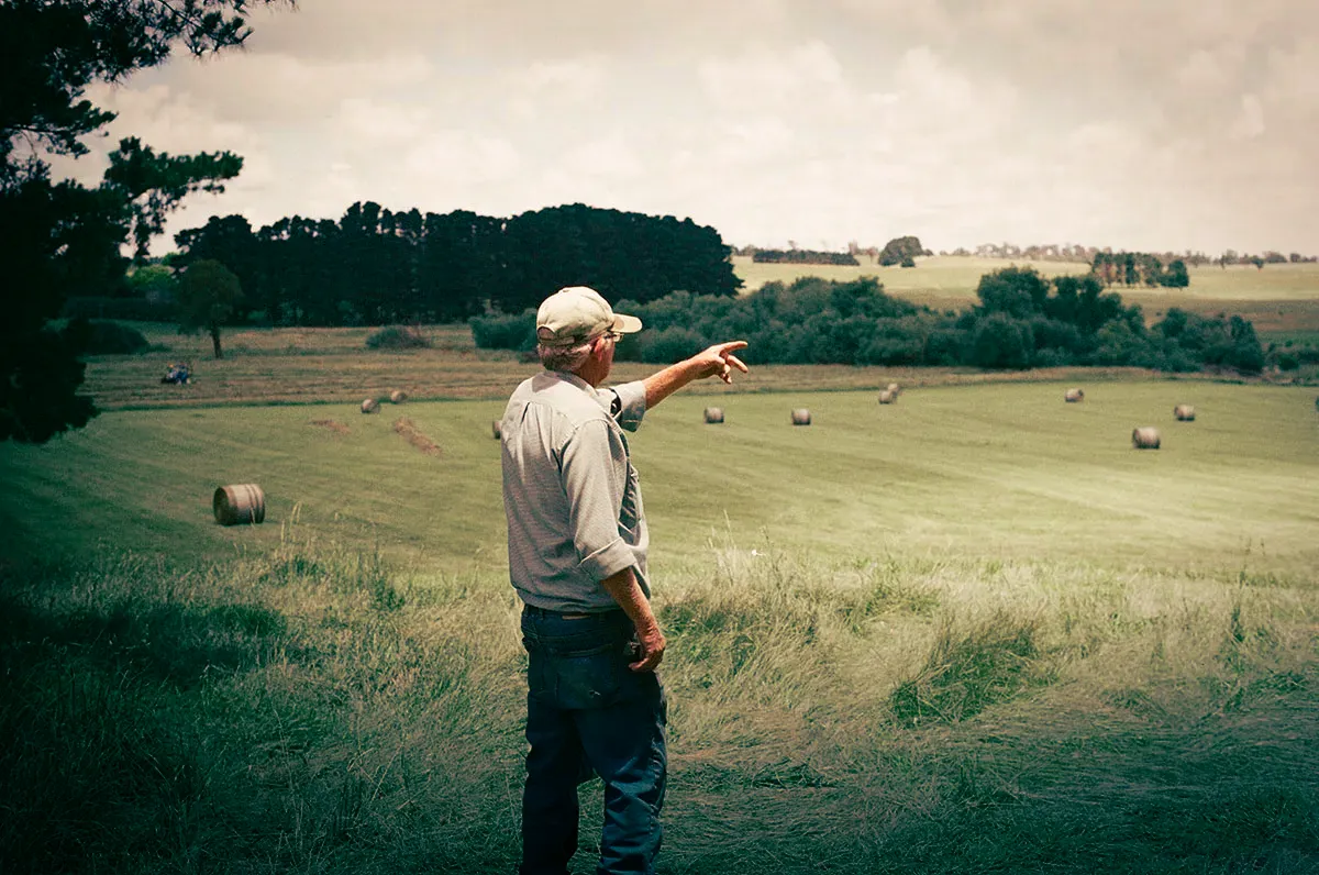 Landwirtschaftliche Fläche