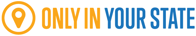 OnlyInYourState logo