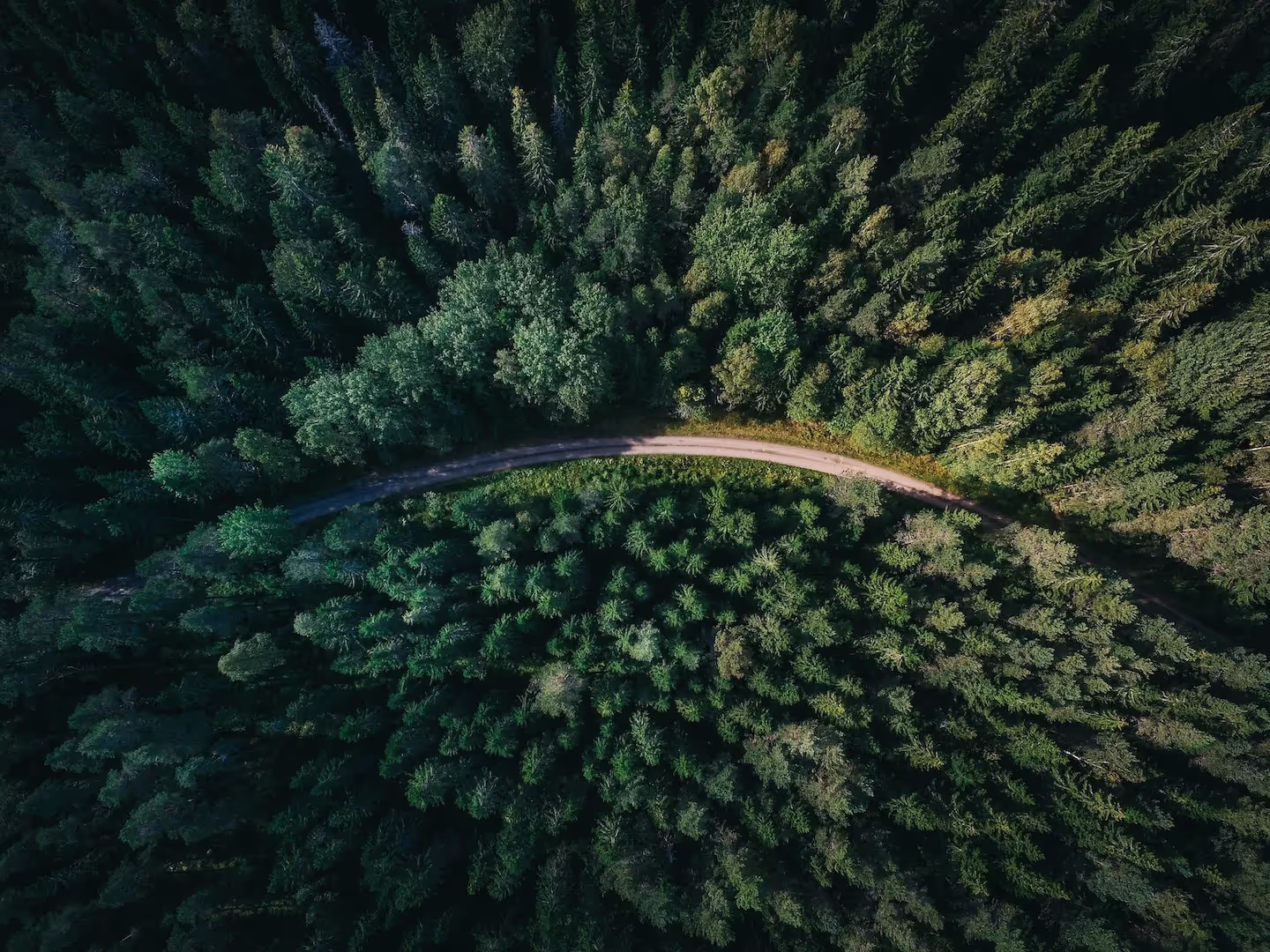A road winding through dense forest, seen from above