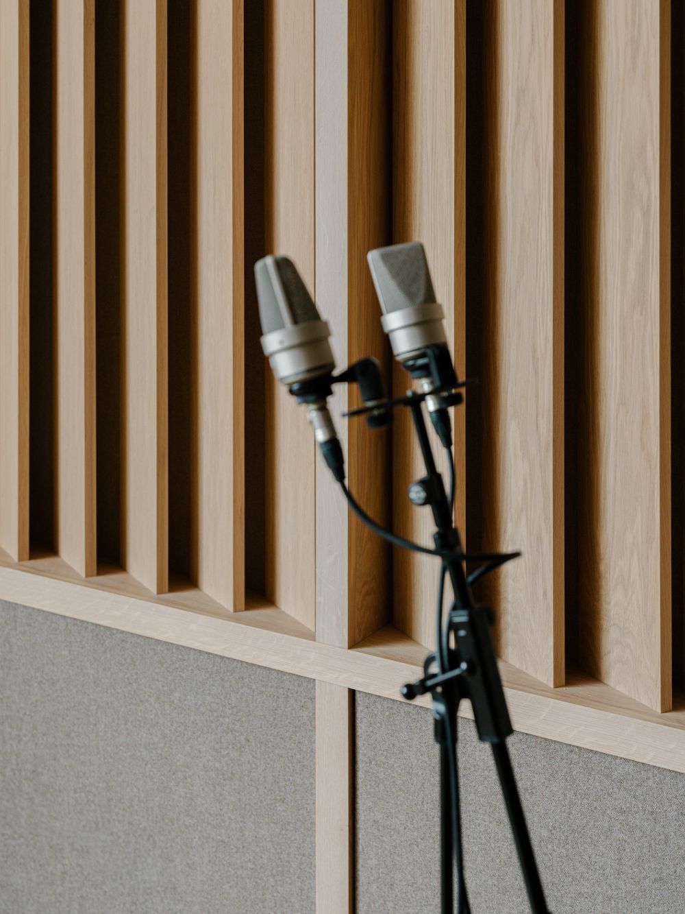 Stylish Japanese and Scandinavian Inspired wood paneling with studio microphone in front