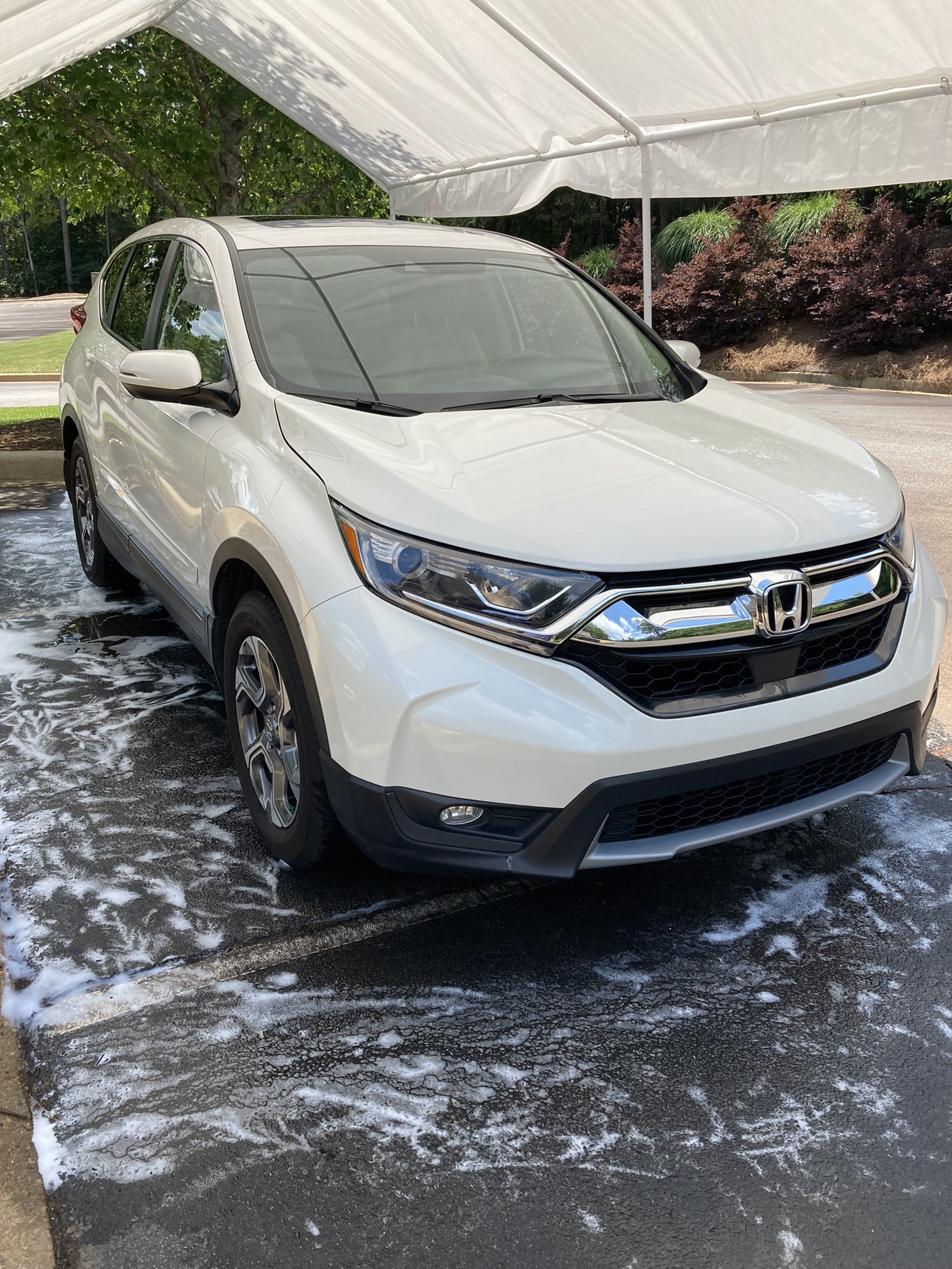 Picture of a white honda suv after a hand wash service by Ace Platinum Detailing. 