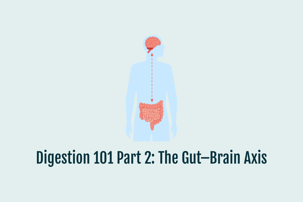Digestion 101 Part 2: The Gut–Brain Axis