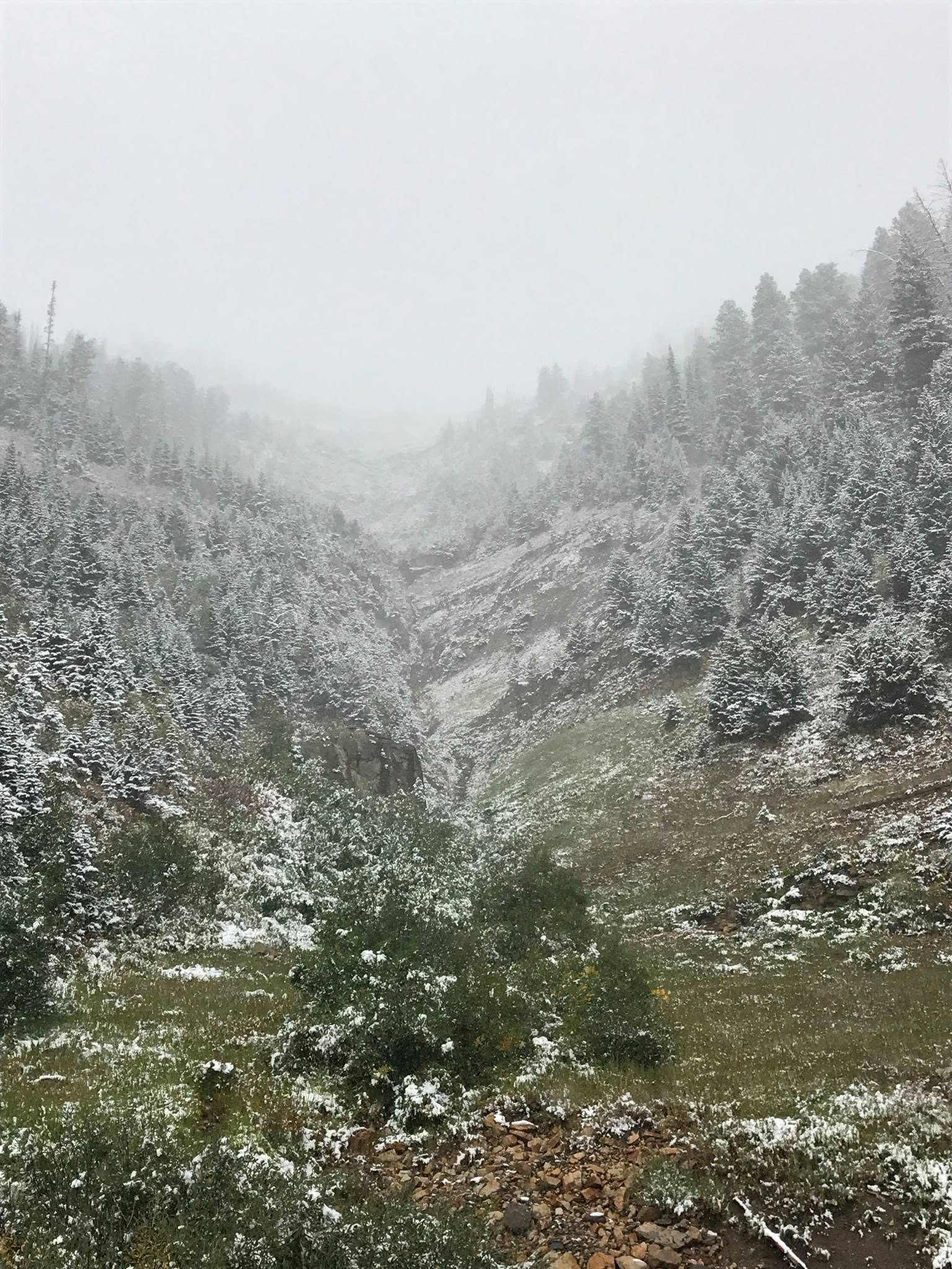 High country along the Yellowstone South Entrance corridor in early snow