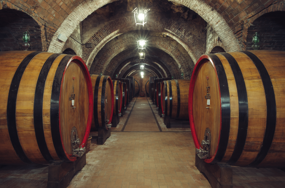 Tips on Storing Wine