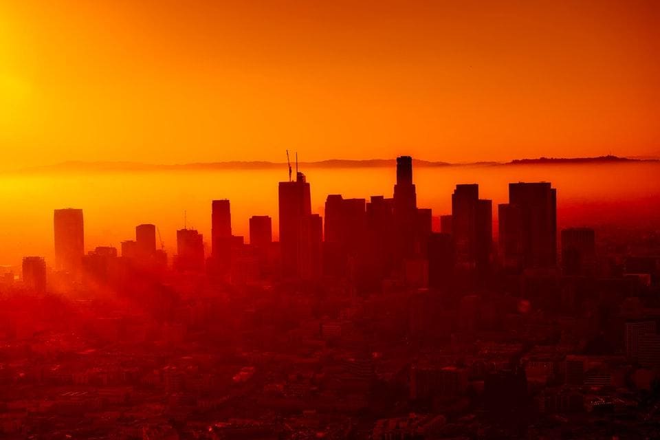 How to Organize a Sustainable Local Move In LA?