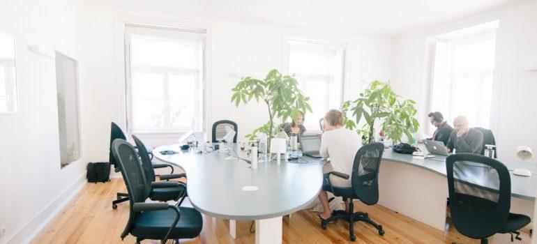 Beautiful daylight at the office 