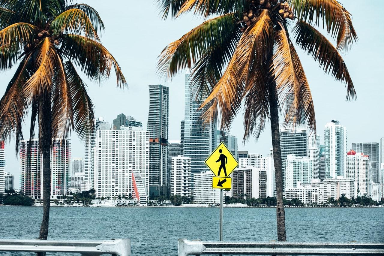 All the Things You Can Do in Downtown Miami
