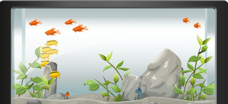fish in a fish tank