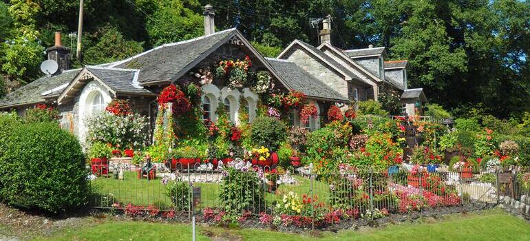 flowers in front of the house