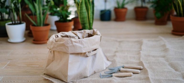 bag with soil and plants in the background to pack your plants